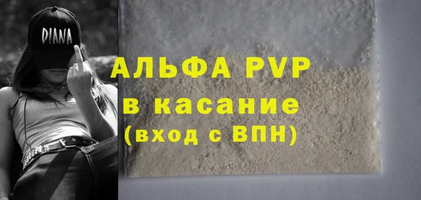 дживик Архангельск