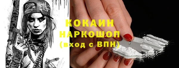 тгк Инсар