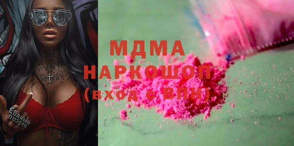 гидра Инта