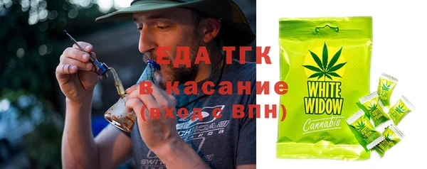 гидра Инта