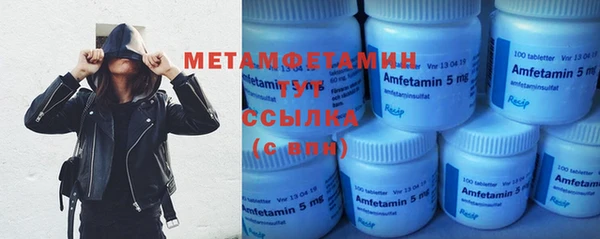 гидра Инта
