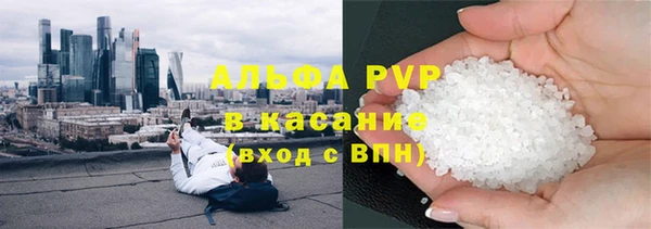 гидра Инта
