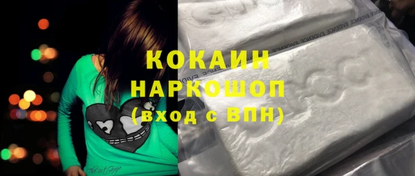 тгк Инсар