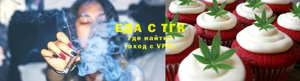 тгк Инсар