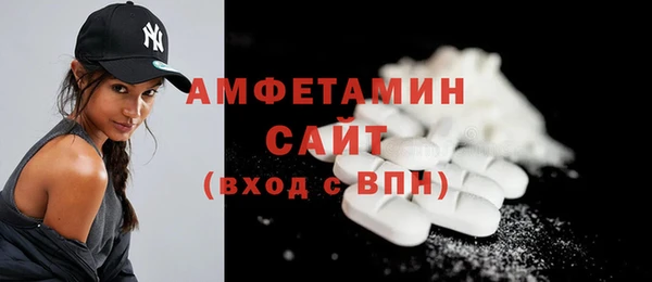 гидра Инта