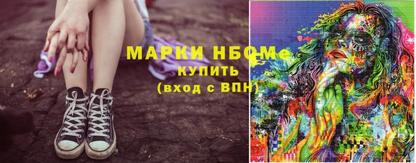 тгк Инсар