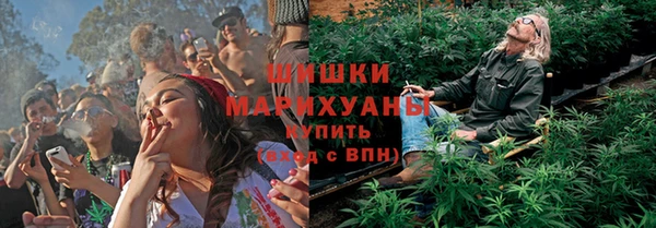 гидра Инта