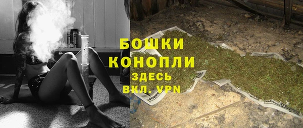 тгк Инсар