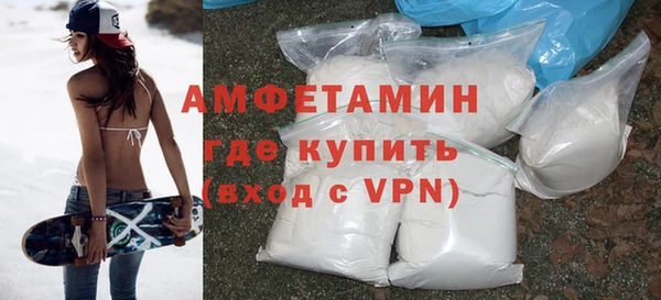 гидра Инта