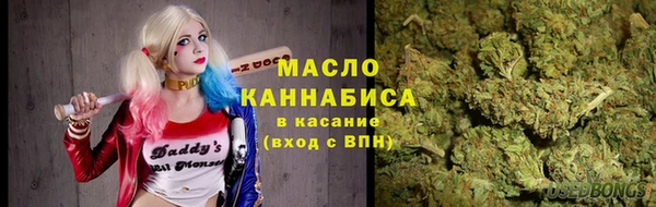 тгк Инсар