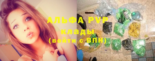 гидра Инта