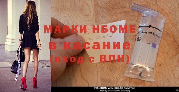 гидра Инта