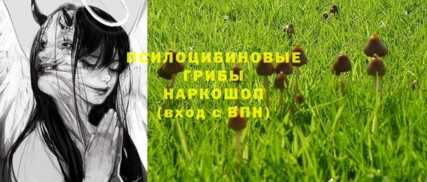 МДПВ Иннополис