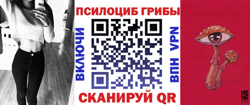 площадка Telegram  закладка  Павловск  Галлюциногенные грибы Magic Shrooms 